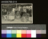 藏品(日治台灣所見臺中香蕉市場明信片)的圖片